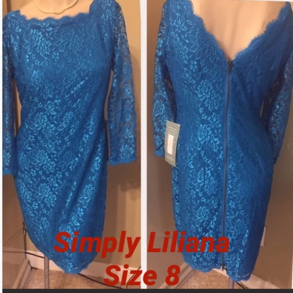 Simply Liliana Dresses & Skirts - 👗ELEGANT NEW W TAG SIMPLY LILIANA DRESS SIZE 8, M